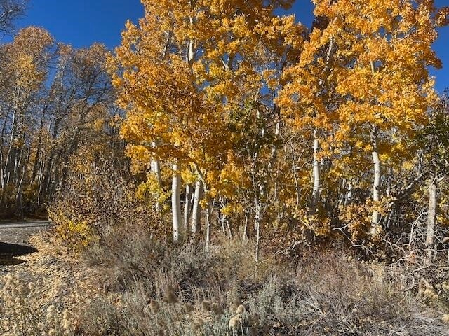 More Photos Of 3927 Crowley Lake Dr, Mammoth Lakes Land For Sale