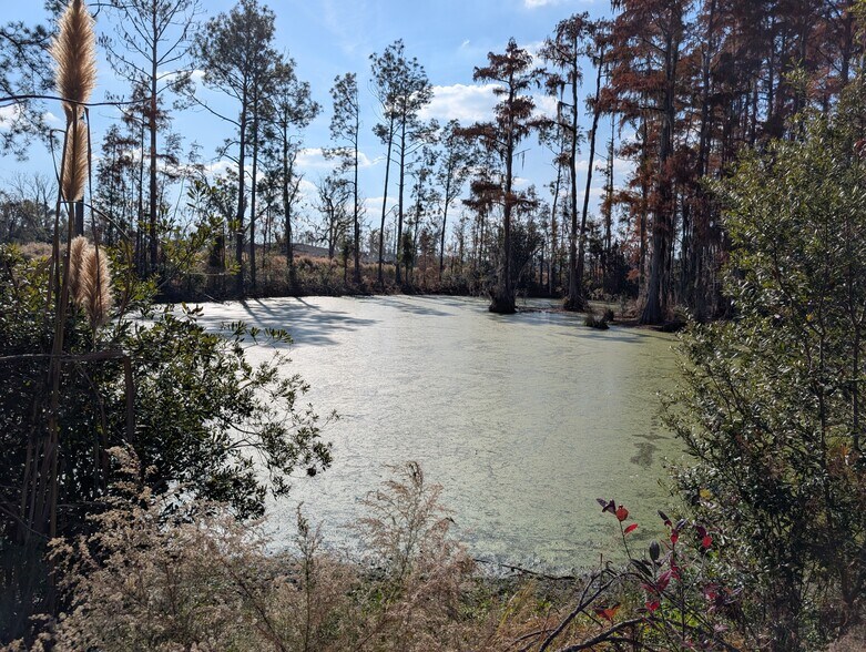 More Photos Of 4308 Hickory Grove Rd N, Valdosta Land For Sale