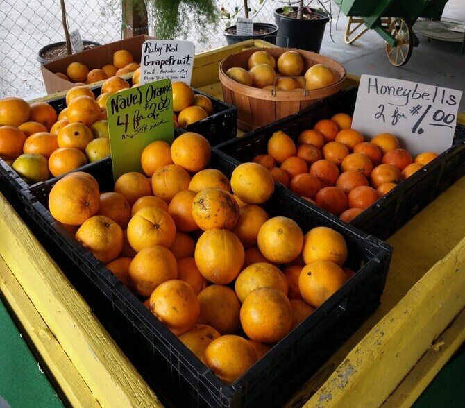 More Photos Of 1327 S Bay St, Eustis Freestanding For Lease