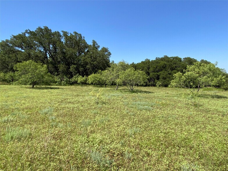 More Photos Of 4801 Farm to Market Road 1702, Gustine Land For Sale