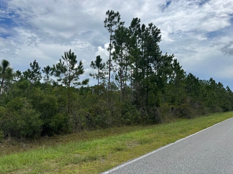 More Photos Of Noah Raulerson Road, Sanderson Land For Sale