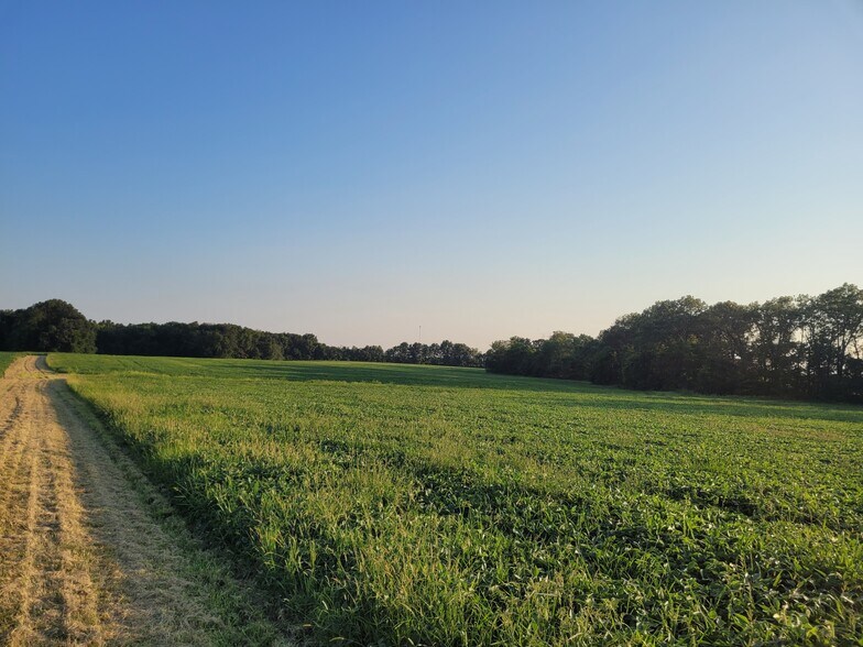 More Photos Of Highway DD (85.69+/- Acres - Tract E), Bellflower Land For Sale