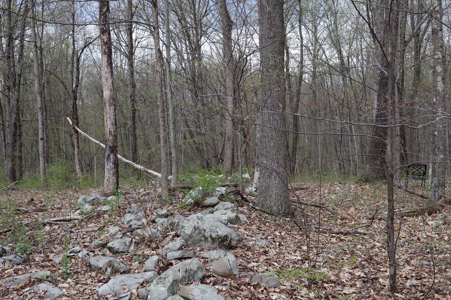 More Photos Of 330 Plutarch Rd, Highland Land For Sale