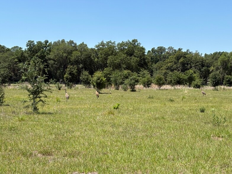 More Photos Of 0 Greenbriar Rd, Lakeland Land For Sale
