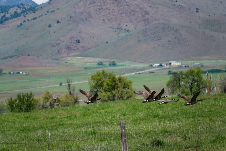 More Photos Of 1834 E. State 3 Hwy, Montague Land For Sale