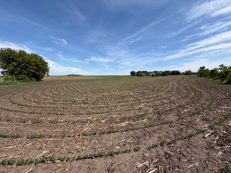 More Photos Of TBD 31st NW Ave @ HWY 52/75th Street NW, Oronoco Land For Sale