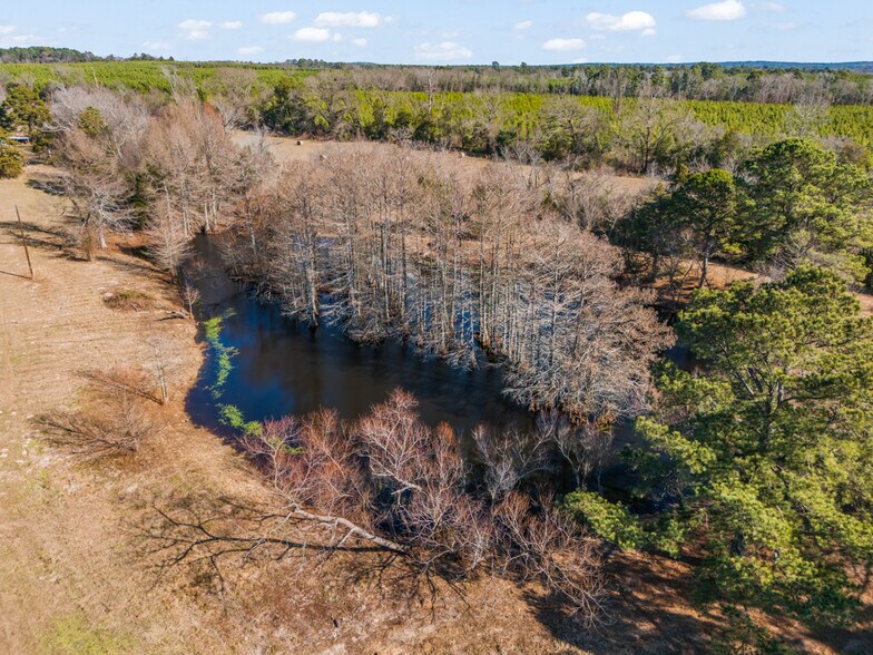 More Photos Of 255 County Road 4645, Winnsboro Land For Sale