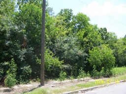 Primary Photo Of 3600 Swingle Rd, Houston Land For Sale
