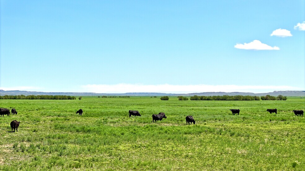 More Photos Of 48999 County Road 48, Model Land For Sale