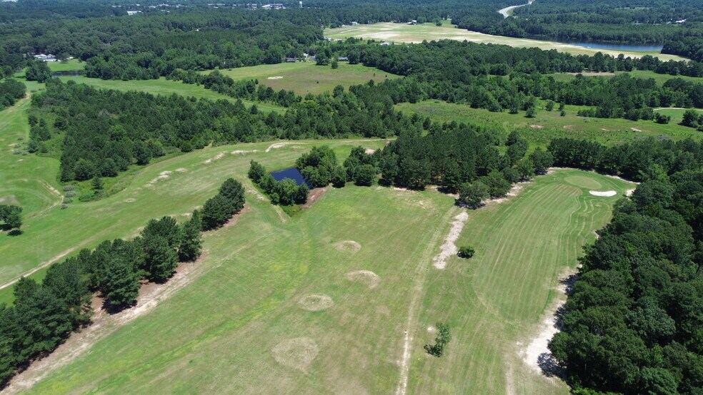 More Photos Of 423 Mac Thompson rd, Cochran Land For Sale