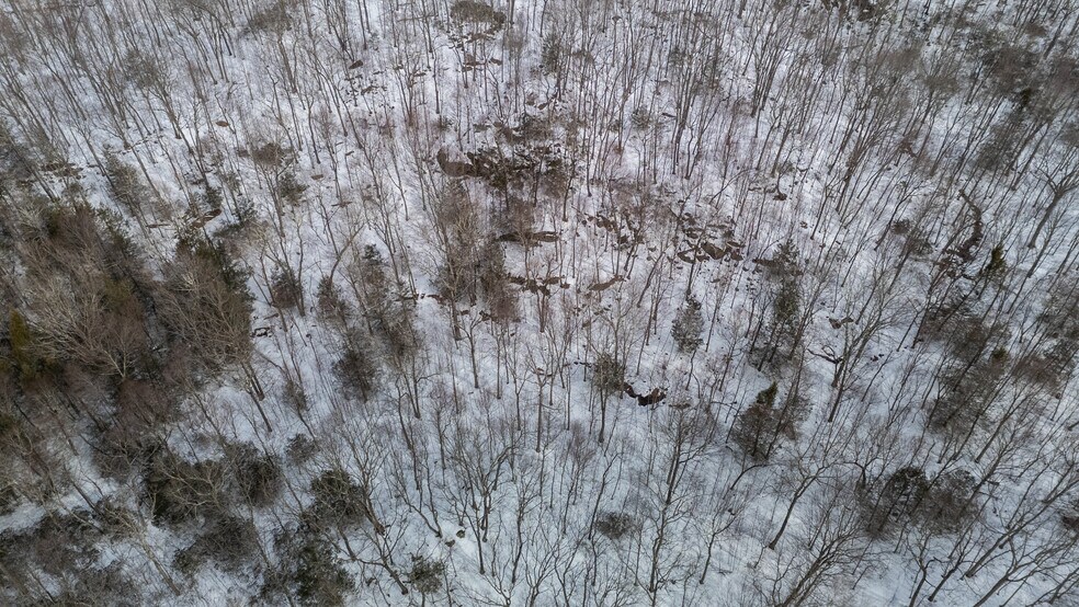 More Photos Of Frost Bridge Rd, Watertown Land For Sale