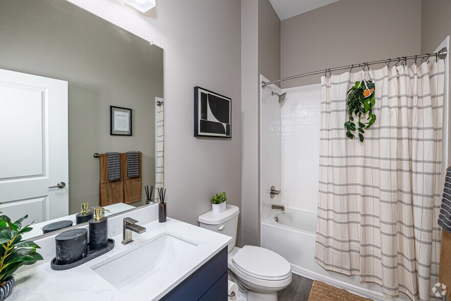 More Photos Of 1725 Storrs Rd Ct, Storrs Apartments For Lease