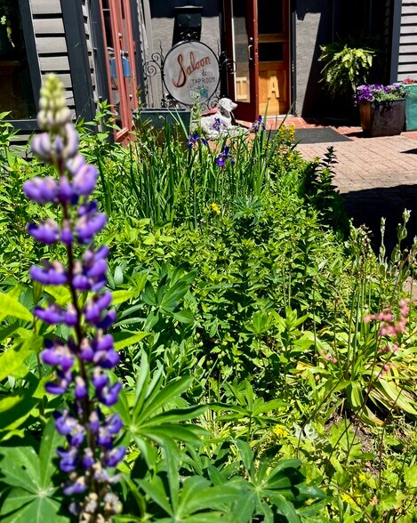More Photos Of 181 E Brown St, Blairsville Restaurant For Sale