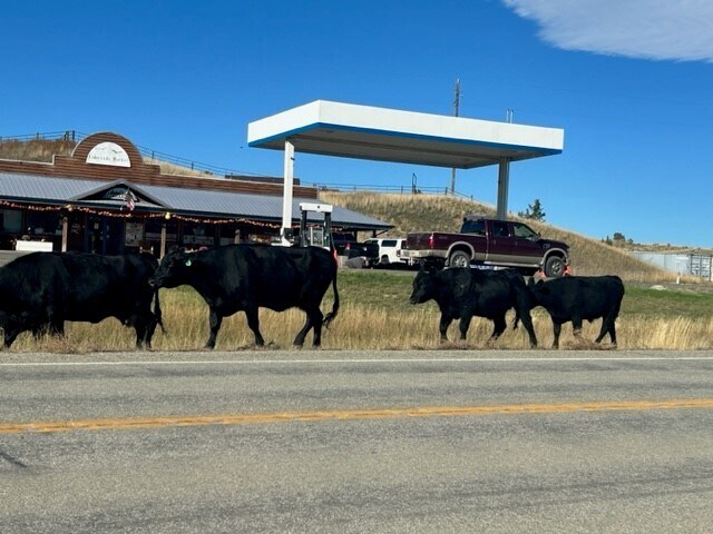 More Photos Of 5330 York Rd, Helena Convenience Store For Sale