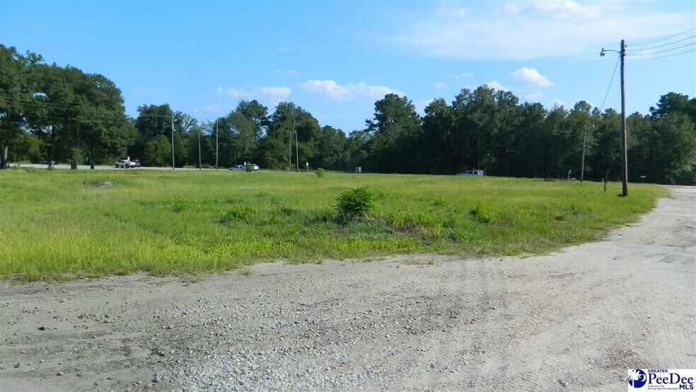 More Photos Of 4603 W Highway 76, Marion Land For Sale