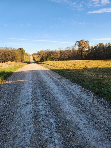 More Photos Of County Road 197 (5+/- Acres) Tract 3, Williamsburg Land For Sale