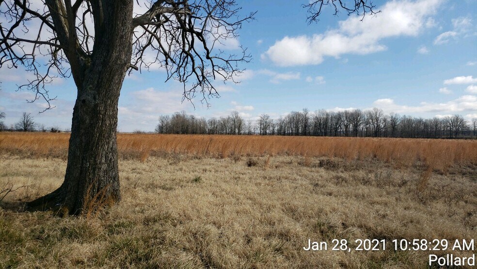 More Photos Of 74 County Road 325, Pollard Land For Sale