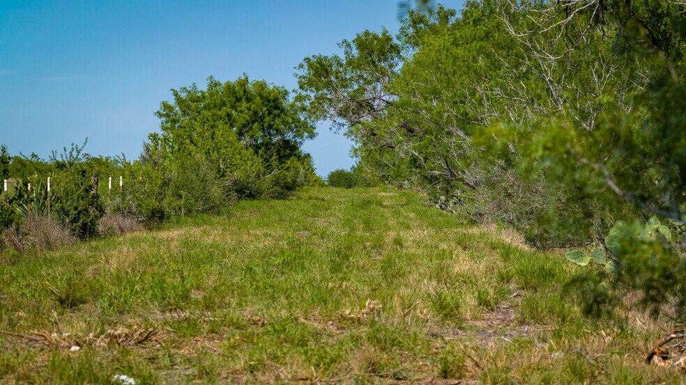 More Photos Of FM 791, Campbellton Land For Sale