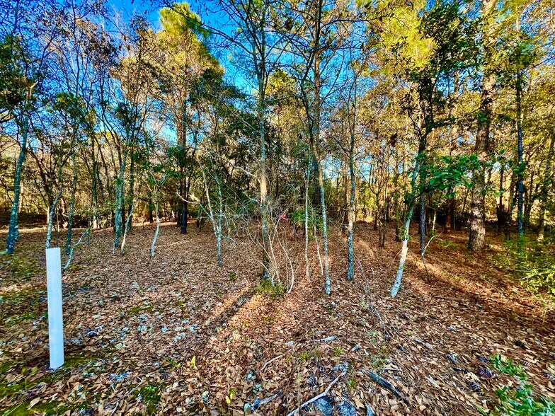 More Photos Of 20689 US Highway 17, Hampstead Land For Sale