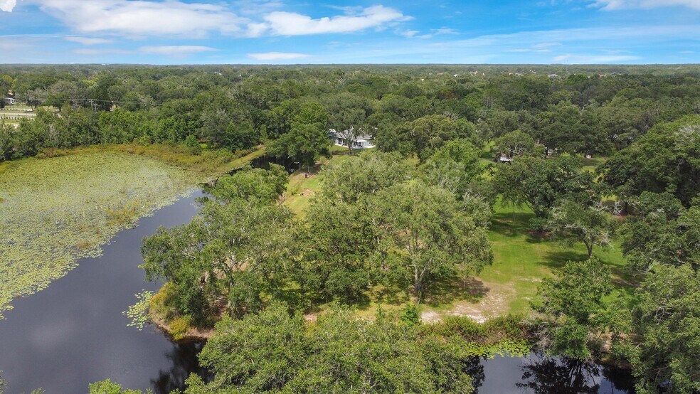 More Photos Of 19616 Livingston Ave, Lutz Land For Sale