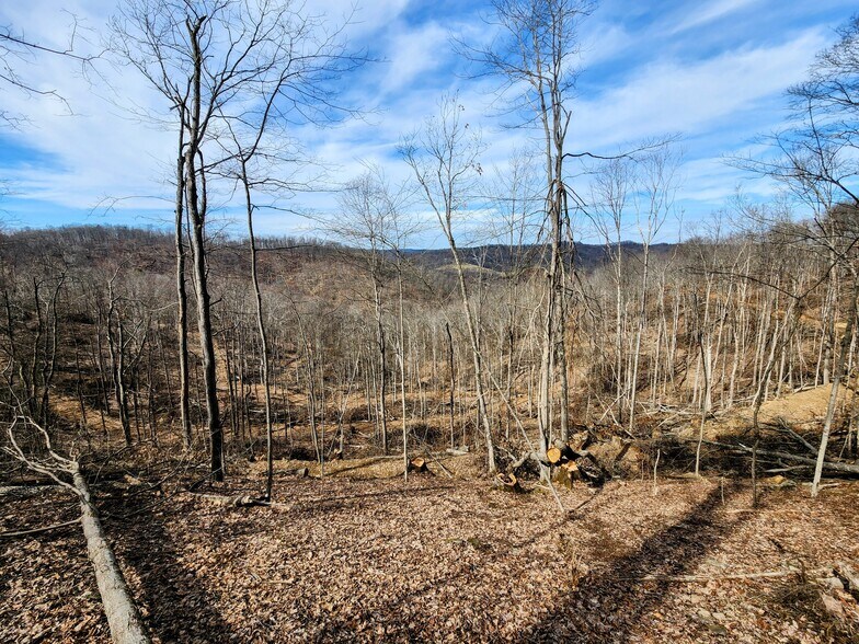 More Photos Of Indian Creek Road Rd, Elkview Land For Sale