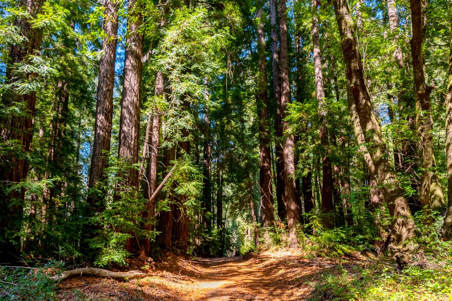More Photos Of 2372 McKenzie Creek rd, Scotts Valley Land For Sale