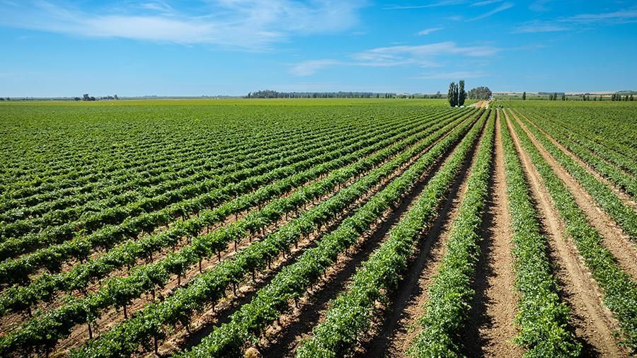 More Photos Of 6470 County Road 99, Dunnigan Land For Sale