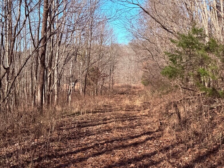 More Photos Of 4604 Summersville Rd, Campbellsville Land For Sale
