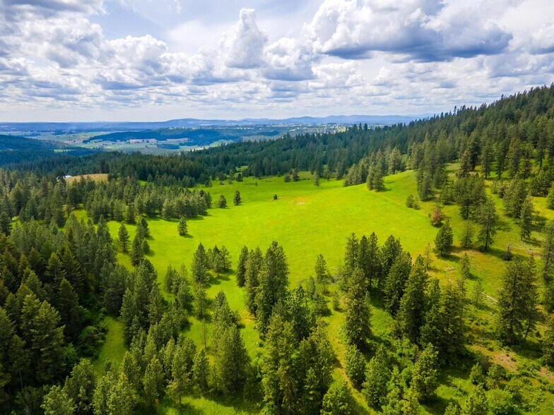 More Photos Of 15809 N Scribner Branch Rd, Spokane Land For Sale