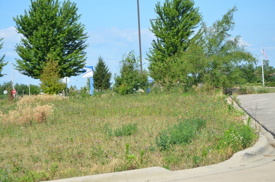 More Photos Of 721 Crimson Ln, Yorkville Land For Sale