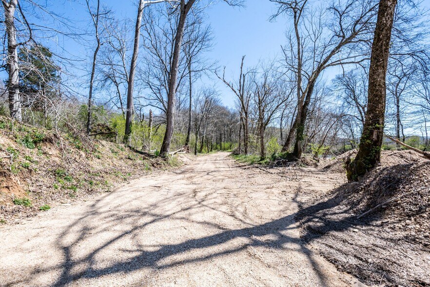 More Photos Of 3170 Phillips Chapel Rd, Waynesboro Land For Sale