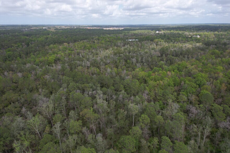 More Photos Of 12960 County Road 48, Silverhill Land For Sale