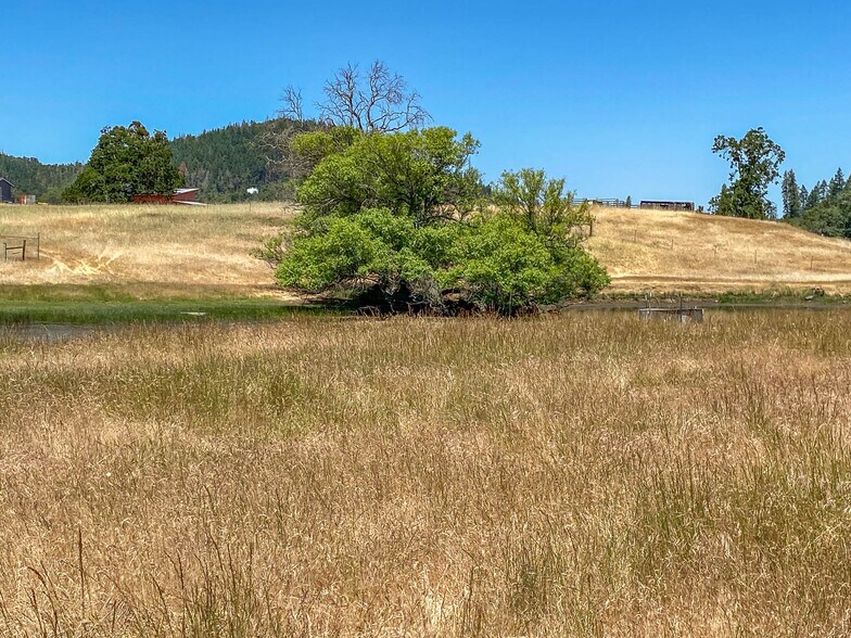 More Photos Of 8017 Old Highway 99 N, Roseburg Distribution For Sale