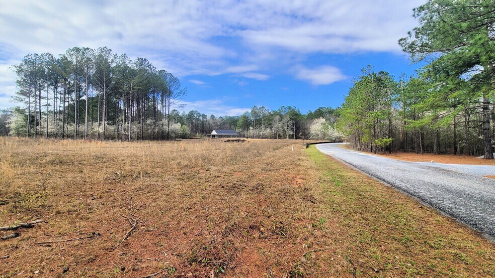 More Photos Of 1019 Chancellors Ferry Loop, Harpersville Land For Sale