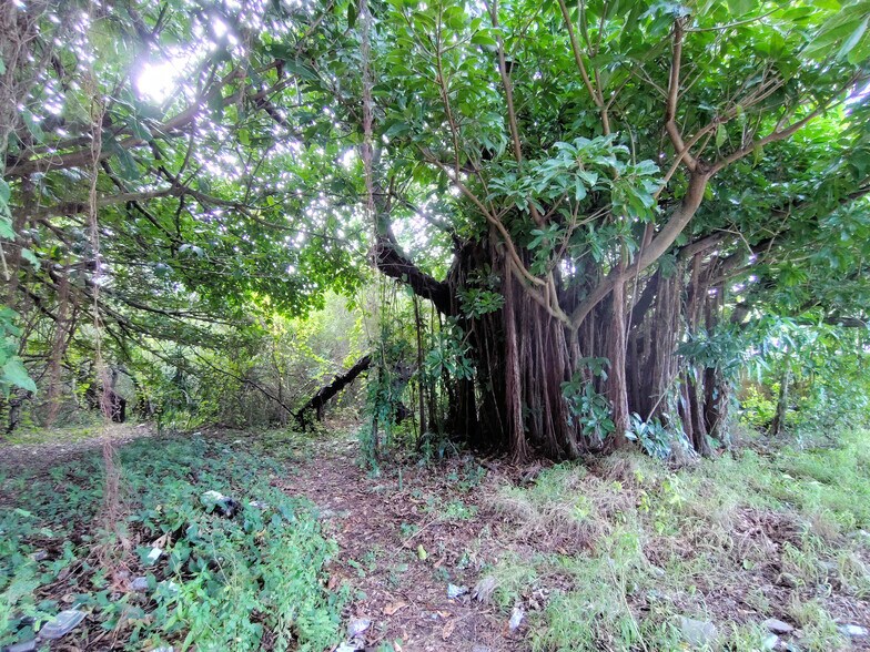 More Photos Of 5470 SE Ebbtide Ave, Stuart Land For Sale