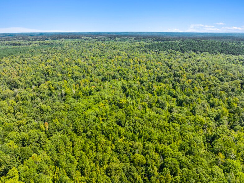 More Photos Of 7471 Highway 155, Saline Land For Sale