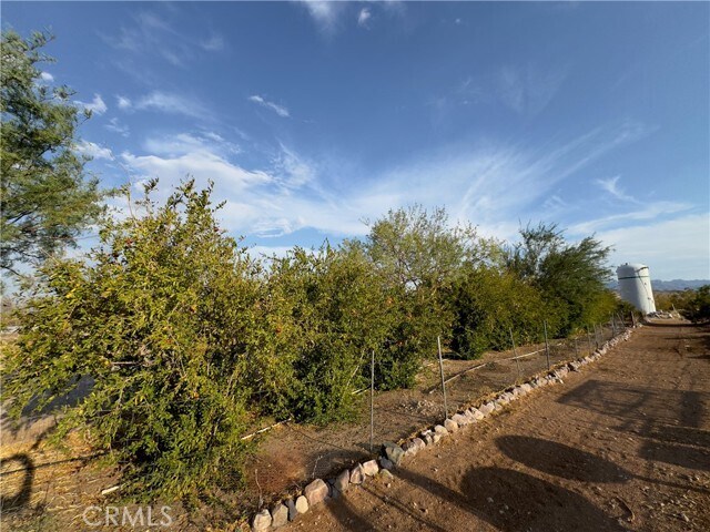 More Photos Of 691 Desert Trail Way, Tecopa Winery Vineyard For Sale