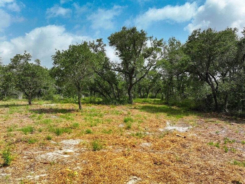 More Photos Of 704 South Highway 35 Byp, Rockport Land For Sale