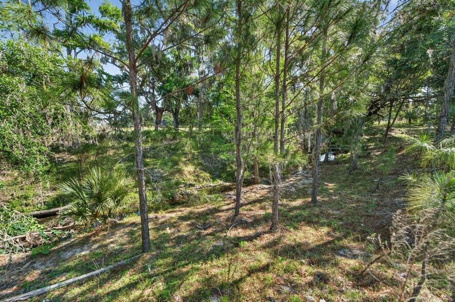 More Photos Of Carlton Rd, Plant City Land For Sale