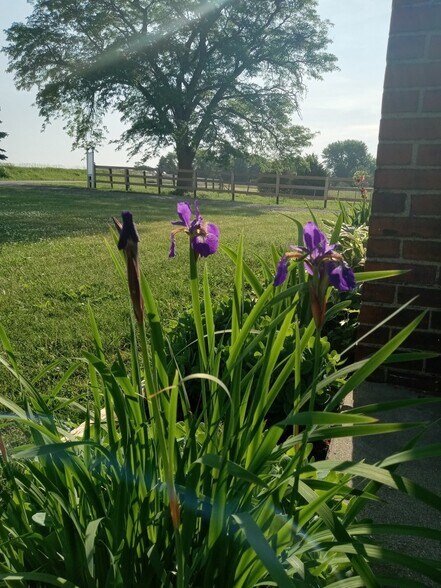 More Photos Of 17396 Scott Rd, Hinckley Land For Sale