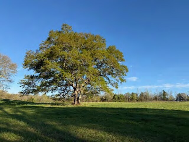 More Photos Of 9400 Commerce Rd, Athens Land For Sale