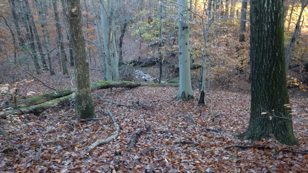 More Photos Of 6720-6800 Osborne Tpke, Richmond Land For Sale