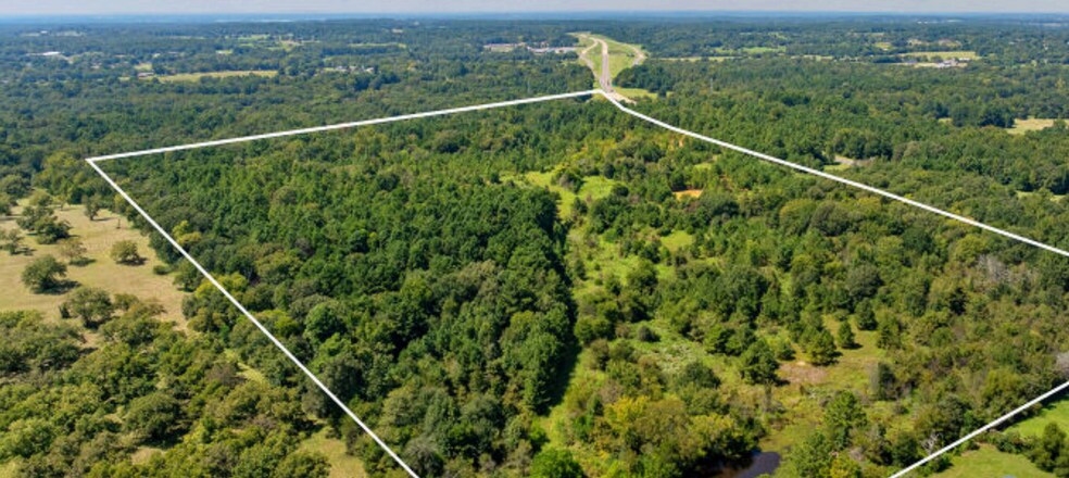 Primary Photo Of TBD County Road 166, Tyler Land For Sale