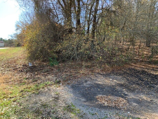 More Photos Of 155 N State Highway 155, Palestine Land For Sale