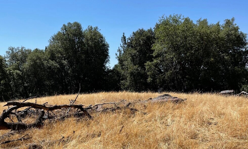 More Photos Of 00000 Forrest Road 1N19, Tuolumne Land For Sale