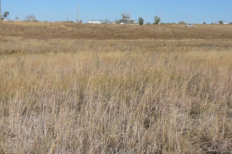 More Photos Of 1970 Imboden rd, Watkins Land For Sale