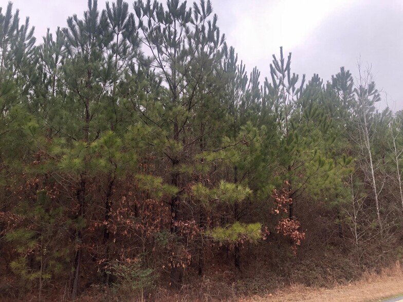 More Photos Of 4350 Ben HILL RD, Atlanta Land For Sale