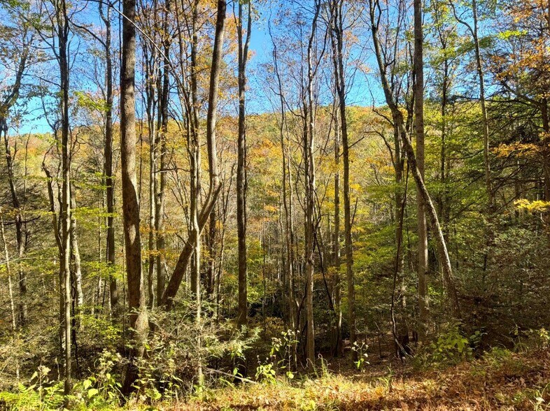 More Photos Of 0 Old Pluto Rd, Shady Spring Land For Sale