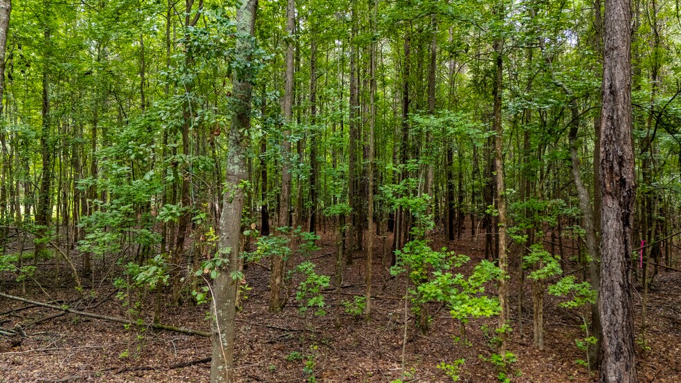 More Photos Of 227 Will Dent Rd., Lexington Land For Sale