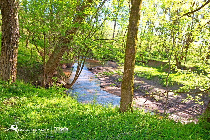 More Photos Of Brandy Mountain Rd, Dahlonega Land For Sale